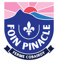 Fion Pinacle