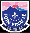 Fion Pinacle